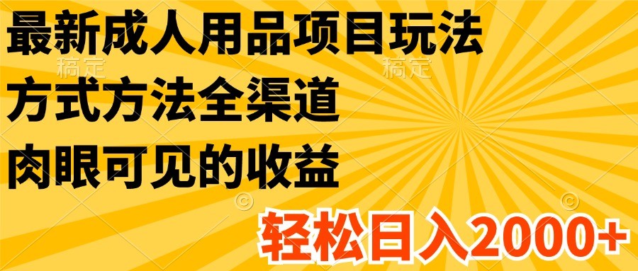 最新成人用品项目玩法,方式方法全渠道,肉眼可见的收益,轻松日入2000+-AIGC资源中心