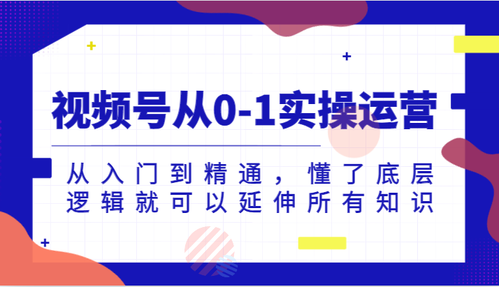 视频号从0-1实操运营,从入门到精通,懂了底层逻辑就可以延伸所有知识（更新2024.7）-AIGC资源中心