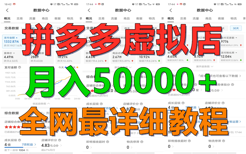 拼多多虚拟电商训练营月入50000+你也行,暴利稳定长久,副业首选-AIGC资源中心