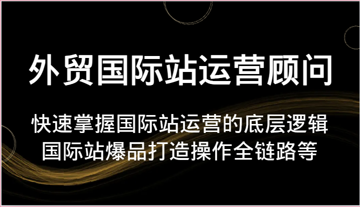 外贸国际站运营顾问-快速掌握国际站运营的底层逻辑,国际站爆品打造操作全链路等-AIGC资源中心
