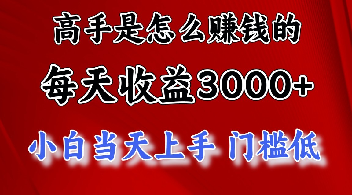高手是怎么赚钱的,一天收益3000+,闷声发财项目,不是一般人能看懂的-AIGC资源中心