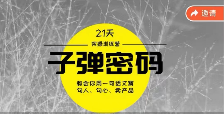 《子弹密码训练营》用一句话文案勾人勾心卖产品,21天学到顶尖文案大师策略和技巧-AIGC资源中心