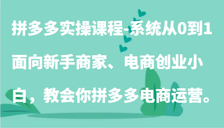 拼多多实操课程-系统从0到1,面向新手商家、电商创业小白,教会你拼多多电商运营。-AIGC资源中心