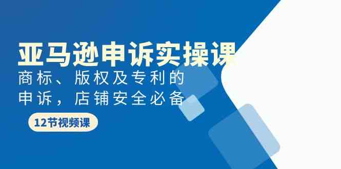 亚马逊申诉实战课,商标、版权及专利的申诉,店铺安全必备-AIGC资源中心