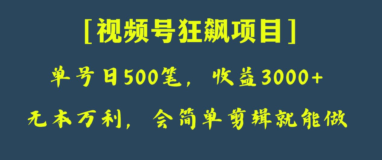 日收款500笔,纯利润3000+,视频号狂飙项目!(视频号狂飙项目手把手教你制作表情包,实现自动收益)-AIGC资源中心
