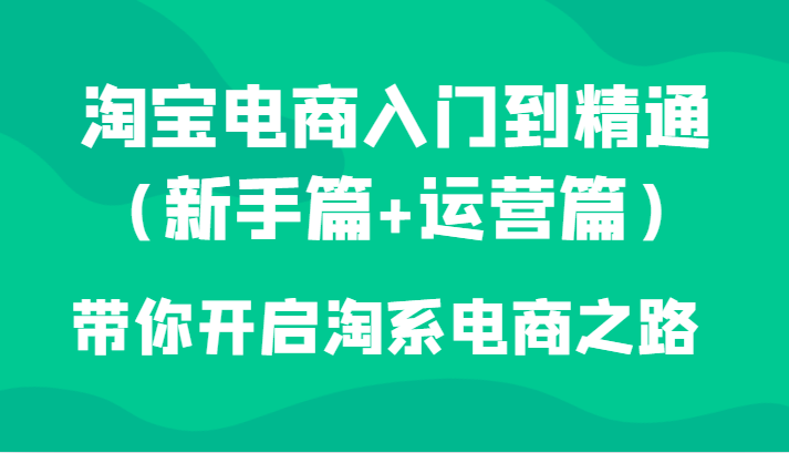 淘宝电商入门到精通（新手篇+运营篇）带你开启淘系电商之路(“全面解析淘宝电商运营之道新手篇与运营进阶篇一站式学习”)-AIGC资源中心