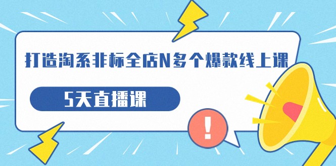 (淘系非标全店爆款打造5天直播课详解产品企划与市场策略)-AIGC资源中心