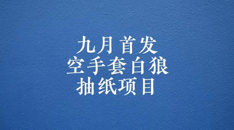 0成本,日入100-500空手套白狼抽纸项目,保姆级教学(九月开学季,探索零成本创业新途径)-AIGC资源中心