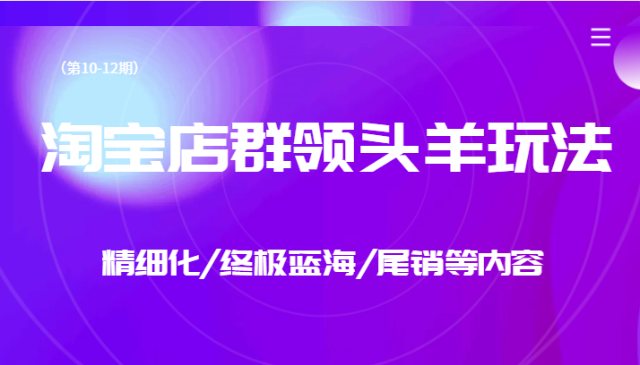 (淘宝店群运营全攻略精细化终极蓝海尾销玩法详解)-AIGC资源中心