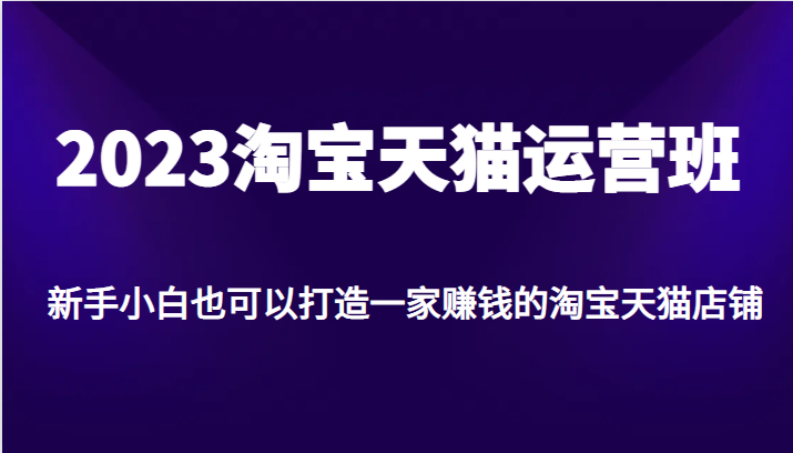 2023淘宝天猫运营班,新手小白也可以打造一家赚钱的淘宝天猫店铺(全面解析淘宝天猫运营技巧,助力新手小白打造赚钱店铺)-AIGC资源中心