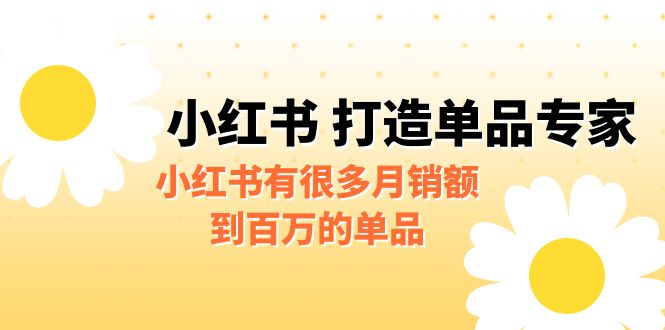 [小红书]某公众号付费文章《小红书打造单品专家》小红书有很多月销额到百万的单品(小红书的百万单品策略如何快速切入并保持高利润)-AIGC资源中心