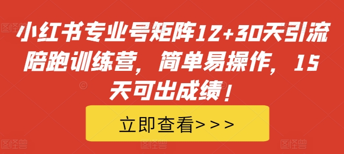 小红书专业号矩阵12+30天引流陪跑训练营,简单易操作,15天可出成绩!-AIGC资源中心