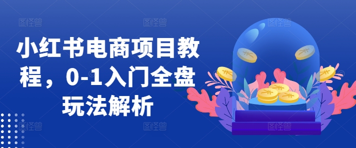 小红书电商项目教程,0-1入门全盘玩法解析-AIGC资源中心