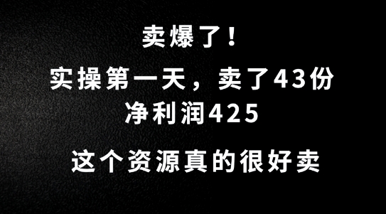这个资源,需求很大,实操第一天卖了43份,净利润425-AIGC资源中心