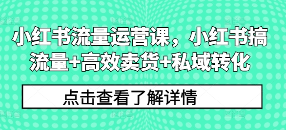 小红书流量运营课,小红书搞流量+高效卖货+私域转化-AIGC资源中心