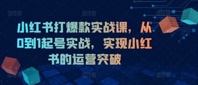 小红书打爆款实战课,从0到1起号实战,实现小红书的运营突破-AIGC资源中心