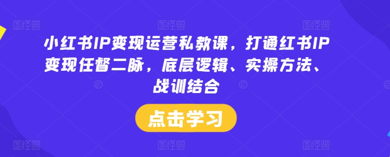 小红书IP变现运营私教课,打通红书IP变现任督二脉,底层逻辑、实操方法、战训结合-AIGC资源中心