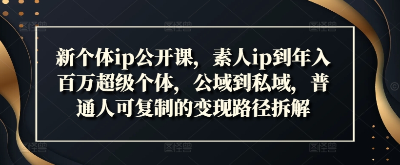 新个体ip公开课,素人ip到年入百万超级个体,公域到私域,普通人可复制的变现路径拆解-AIGC资源中心