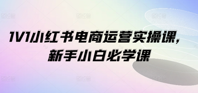 1V1小红书电商运营实操课,新手小白必学课-AIGC资源中心