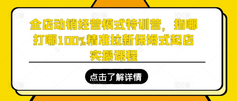 全店动销经营模式特训营,指哪打哪100%精准拉新保姆式起店实操课程-AIGC资源中心