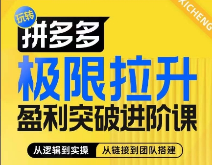 拼多多极限拉升盈利突破进阶课,​从算法到玩法,从玩法到团队搭建,体系化系统性帮助商家实现利润提升-AIGC资源中心