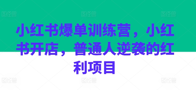 小红书爆单训练营,小红书开店,普通人逆袭的红利项目-AIGC资源中心