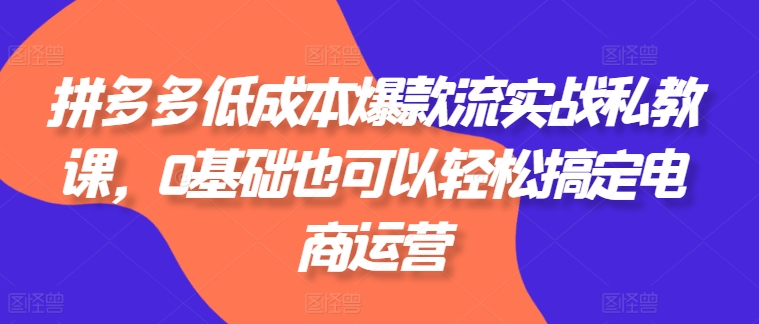 拼多多低成本爆款流实战私教课,0基础也可以轻松搞定电商运营-AIGC资源中心