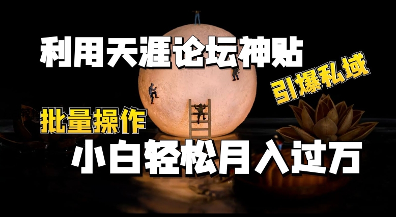利用天涯论坛神贴,引爆私域,批量操作,小白轻松月入过w-AIGC资源中心