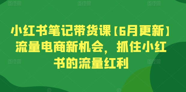 小红书笔记带货课【6月更新】流量电商新机会,抓住小红书的流量红利-AIGC资源中心