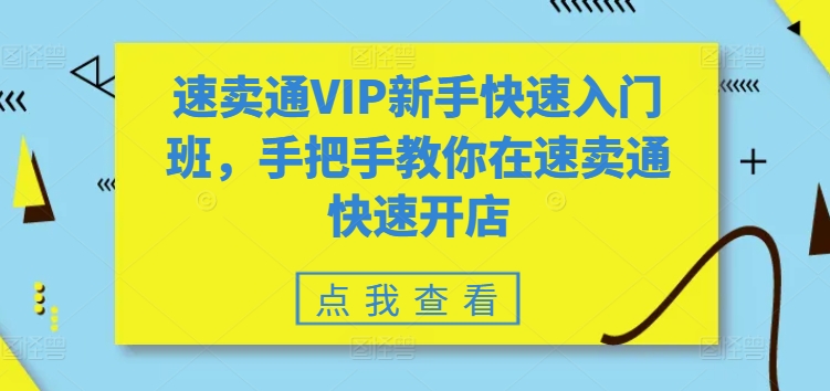 速卖通VIP新手快速入门班,手把手教你在速卖通快速开店-AIGC资源中心