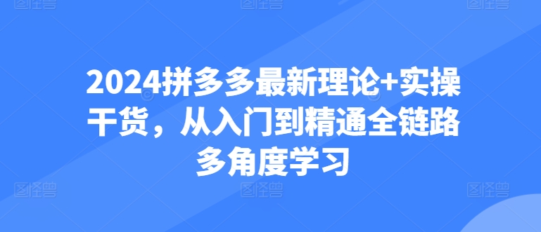 2024拼多多最新理论+实操干货,从入门到精通全链路多角度学习-AIGC资源中心
