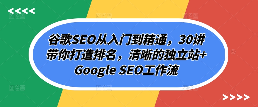 谷歌SEO从入门到精通,30讲带你打造排名,清晰的独立站+GoogleSEO工作流-AIGC资源中心