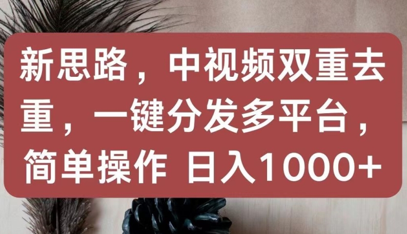 新思路,中视频双重去重,一键分发多平台,简单操作,日入1000+-AIGC资源中心