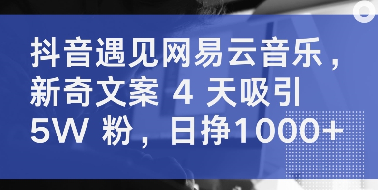 抖音遇见网易云音乐,新奇文案4天吸引5W粉,日挣1000+-AIGC资源中心