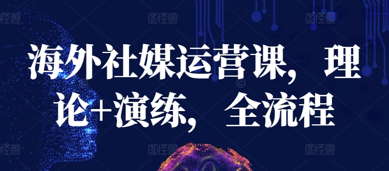 海外社媒运营课,理论+演练,全流程-AIGC资源中心