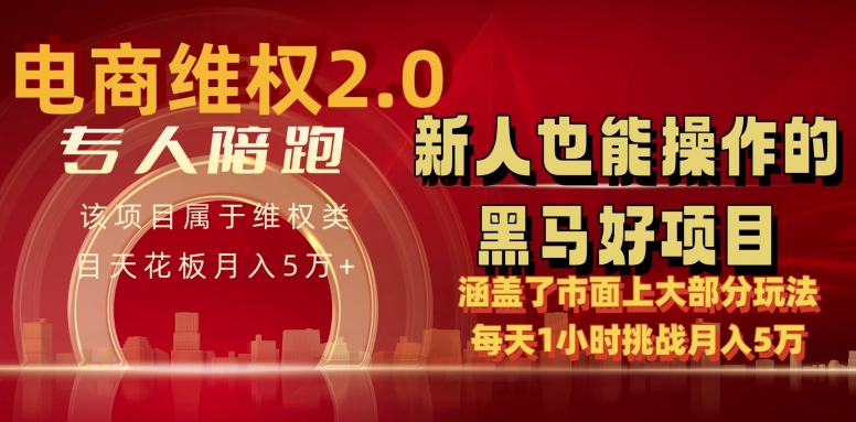 电商维权4.0如何做到月入5万+每天1小时新人也能快速上手【仅揭秘】-AIGC资源中心