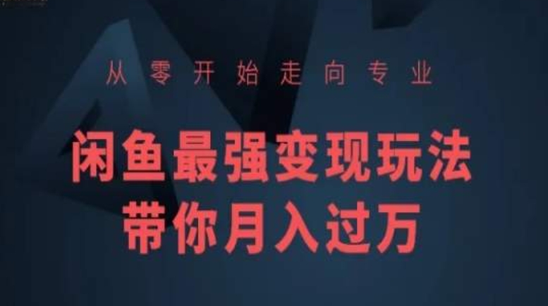 从零开始走向专业,闲鱼最强变现玩法带你月入过万-AIGC资源中心