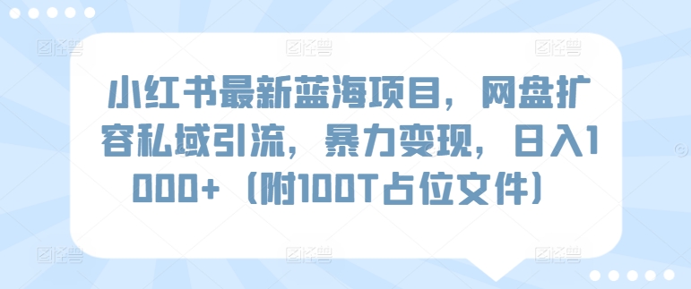 小红书最新蓝海项目,网盘扩容私域引流,暴力变现,日入1000+（附100T占位文件）-AIGC资源中心
