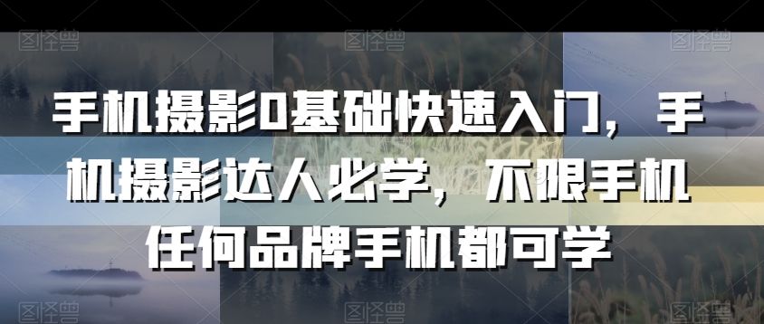 手机摄影0基础快速入门,手机摄影达人必学,不限手机任何品牌手机都可学-AIGC资源中心