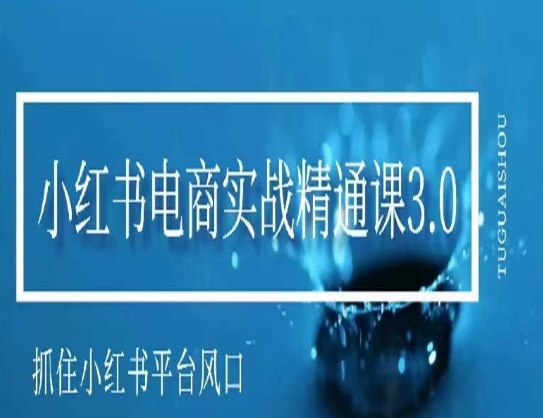 小红书电商实战精通课3.0,抓住小红书平台的风口,不错过有一个赚钱的机会-AIGC资源中心