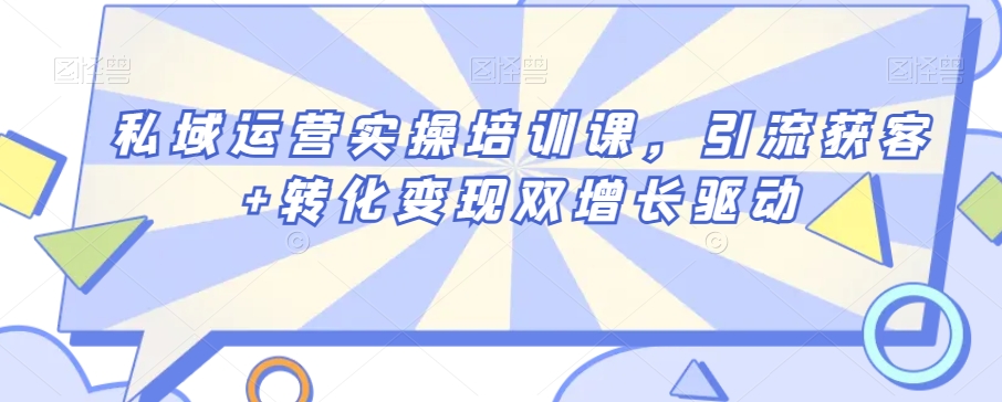 私域运营实操培训课,引流获客+转化变现双增长驱动-AIGC资源中心