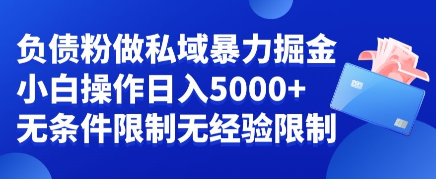 负债粉私域暴力掘金,小白操作入5000,无经验限制,无条件限制-AIGC资源中心
