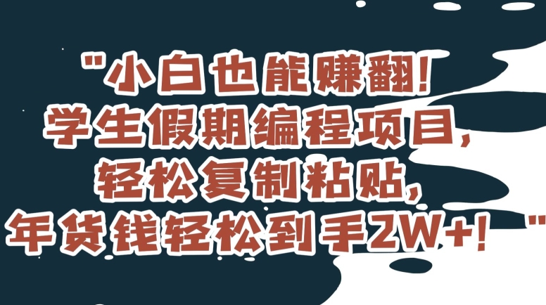小白也能赚翻!学生假期编程项目,轻松复制粘贴,年货钱轻松到手2W+【揭秘】-AIGC资源中心
