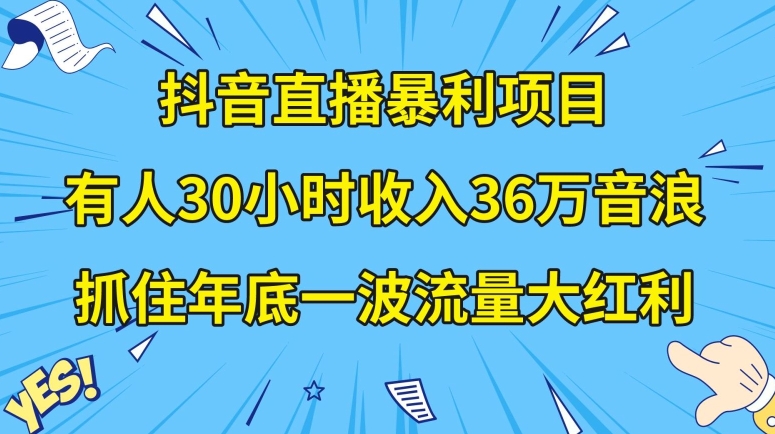 抖音直播暴利项目,有人30小时收入36万音浪,公司宣传片年会视频制作,抓住年底一波流量大红利【揭秘】-AIGC资源中心