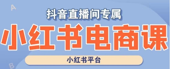 小红书电商高级运营课程,实操教学+案例分析(全面解析小红书电商运营技巧,助力店铺高效发展)-AIGC资源中心