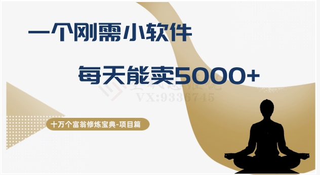 十万个富翁修炼宝典之17.一个刚需小软件,每天能卖5000+(十万个富翁修炼宝典之17揭秘一个每天能卖5000+的小软件项目)-AIGC资源中心