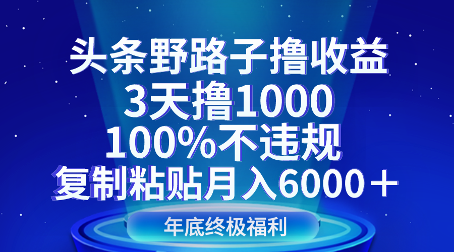 头条野路子撸收益,3天撸1000,100%不违规,复制粘贴月入6000＋(探索《头条野路子撸收益,3天撸1000,100%不违规,复制粘贴月入6000＋》赛道的机遇与挑战)-AIGC资源中心