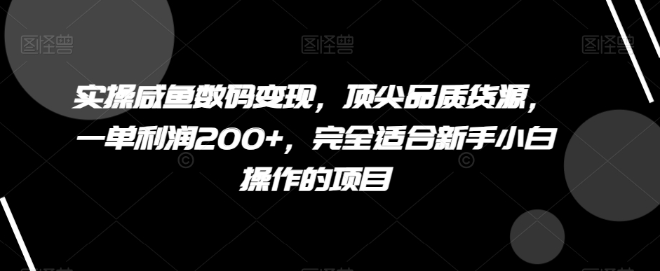 实操咸鱼数码变现,顶尖品质货源,一单利润200+,完全适合新手小白操作的项目【揭秘】(\新手小白也能轻松上手的咸鱼数码变现指南\)-AIGC资源中心