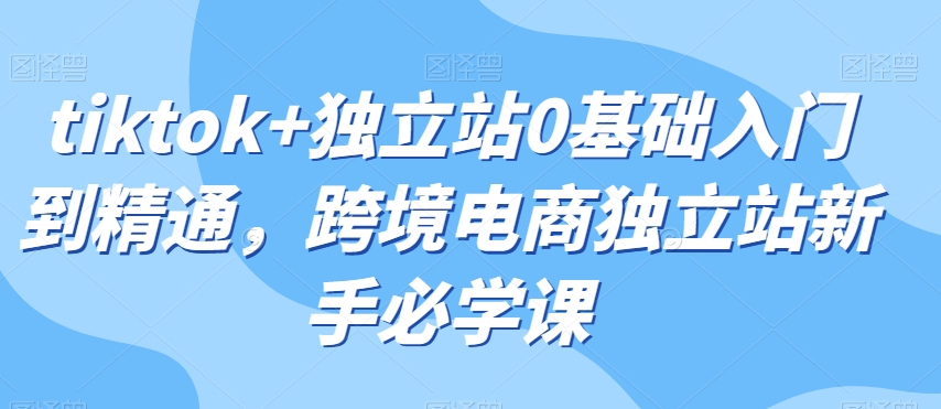 tiktok+独立站0基础入门到精通,跨境电商独立站新手必学课(全面掌握tiktok+独立站运营,打造跨境电商新机遇)-AIGC资源中心