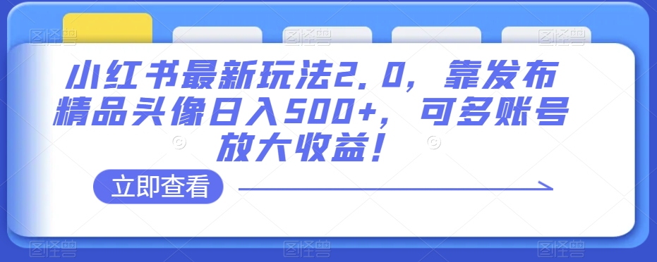 小红书最新玩法2.0,靠发布精品头像日入500+,可多账号放大收益!【揭秘】(揭秘小红书新玩法发布精品头像实现日入500+)-AIGC资源中心